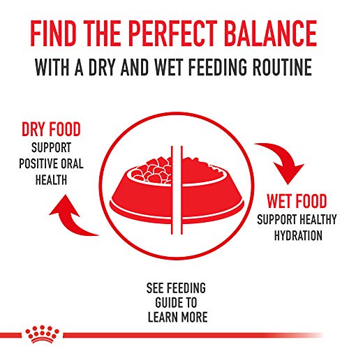 Royal Canin Mother & Babycat Dry Cat Food, 6 lbs.