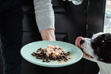 Nulo FreeStyle Chicken & Green Beans in Broth Dog Food Topper, 2.8 oz.