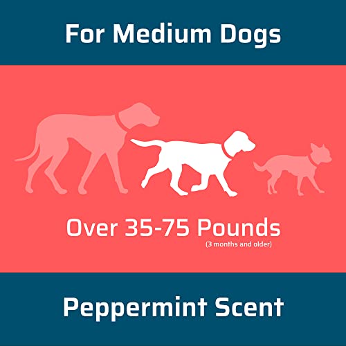 Wondercide Peppermint Flea & Tick Spot-On for Medium Dogs