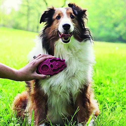 KONG ZoomGroom Dog Brush