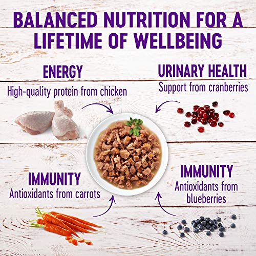 Wellness Healthy Indulgence Complete Health Chicken Liver Cat Food, 3 oz.