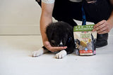 Boss Dog ProBites with Tripe Pork Recipe Dog Treats, 3 oz.