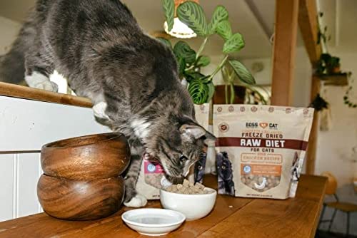Boss Dog Freeze-Dried Raw Pork Diet for Cats, 9 oz.