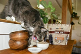 Boss Dog Freeze-Dried Raw Pork Diet for Cats, 9 oz.