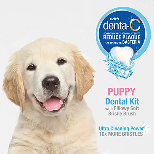 Advanced Oral Care Puppy Dental Kit Pack Of 1 Can 2.5 oz
