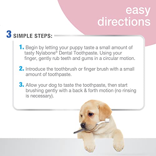 Advanced Oral Care Puppy Dental Kit Pack Of 1 Can 2.5 oz