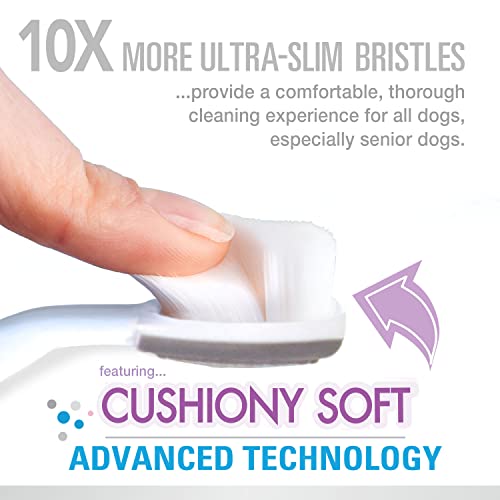 Advanced Oral Care Senior Dog Dental Kit 2.5 oz, Pack Of 1