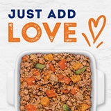 Natural Balance Platefulls Duck & Pumpkin Wet Dog Food, 9 oz.