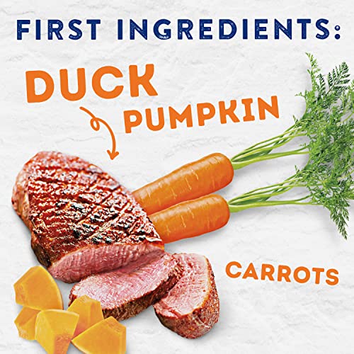 Natural Balance Platefulls Duck & Pumpkin Wet Dog Food, 9 oz.