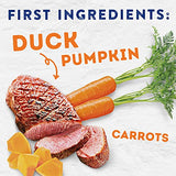 Natural Balance Platefulls Duck & Pumpkin Wet Dog Food, 9 oz.