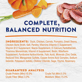Natural Balance Platefulls Duck & Pumpkin Wet Dog Food, 9 oz.