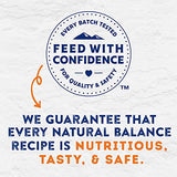 Natural Balance Platefulls Duck & Pumpkin Wet Dog Food, 9 oz.