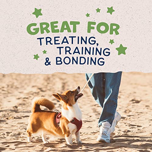 Natural Balance Crunchy Peanut Butter Dog Treats, 8 oz.
