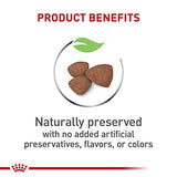 Royal Canin Small Puppy Dry Dog Food, 14 lbs.