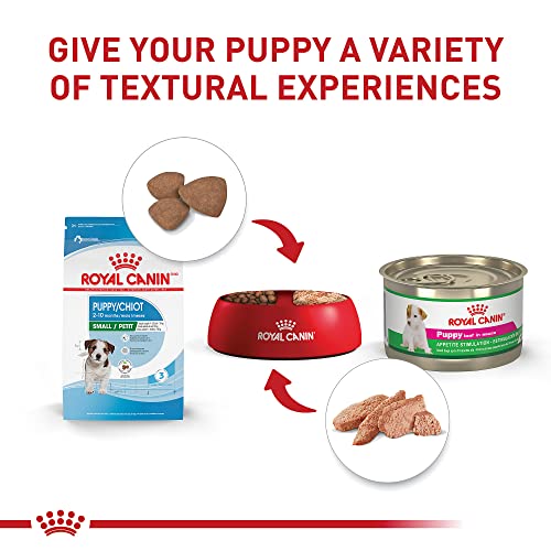 Royal Canin Small Puppy Dry Dog Food, 14 lbs.