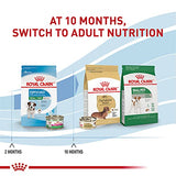 Royal Canin Small Puppy Dry Dog Food, 14 lbs.