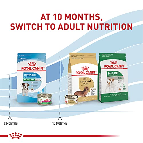 Royal Canin Small Puppy Dry Dog Food, 14 lbs.