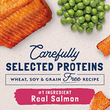 Natural Balance Limited Ingredient Salmon & Green Pea Dry Cat Food, 4 lbs.