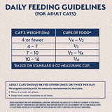 Natural Balance Limited Ingredient Salmon & Green Pea Dry Cat Food, 4 lbs.
