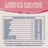 Natural Balance Limited Ingredient Salmon & Green Pea Dry Cat Food, 4 lbs.