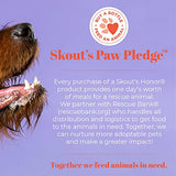Skout's Honor Probiotic Soothing Itch Relief Dog Shampoo, 16 oz.