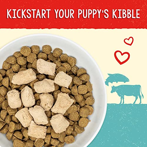 Stella & Chewy's Perfectly Puppy Beef & Salmon Freeze-Dried Puppy Food, 3.5 oz.