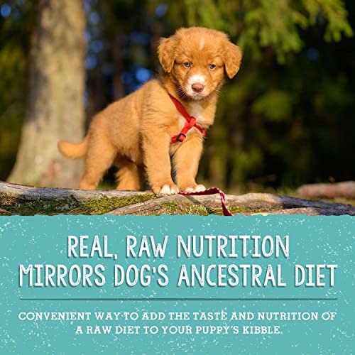Stella & Chewy's Perfectly Puppy Beef & Salmon Freeze-Dried Puppy Food, 3.5 oz.