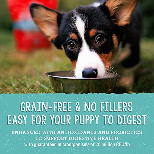 Stella & Chewy's Perfectly Puppy Beef & Salmon Freeze-Dried Puppy Food, 3.5 oz.