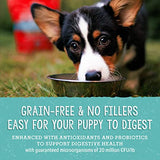 Stella & Chewy's Perfectly Puppy Beef & Salmon Freeze-Dried Puppy Food, 3.5 oz.