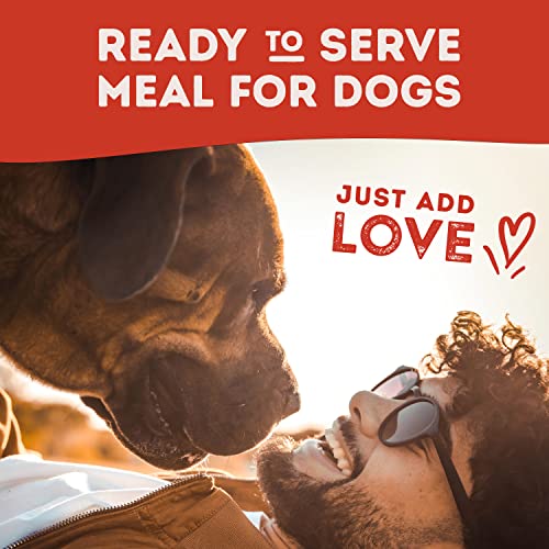 Natural Balance Beef, Carrot & Potato Wet Dog Food, 9 oz.