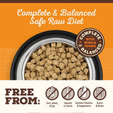 Primal Beef Formula Freeze-Dried Pronto Dog Food, 16 oz.
