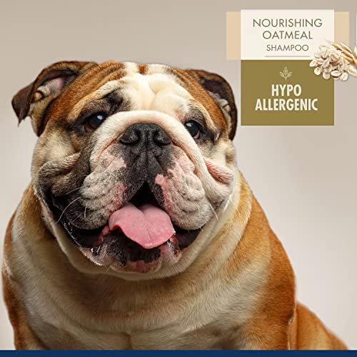 Magic Coat Hypo-Allergenic Shampoo for Dogs, 16 oz.