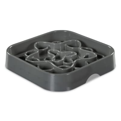 Messy Mutts Square Slow Feeder for Dogs & Cats, 8 x 8 in.