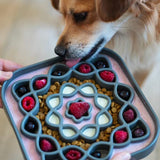 Messy Mutts Square Slow Feeder for Dogs & Cats, 8 x 8 in.