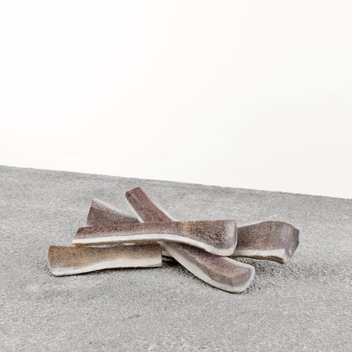 Primal Elk Antler Dog Chew Medium