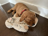Tall Tails Yeti Dog Toy