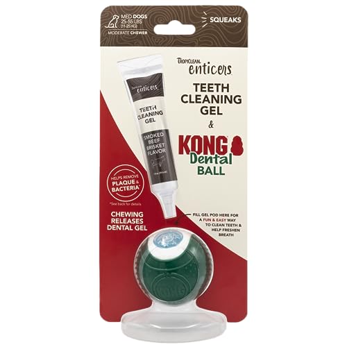 KONG Enticers Dental Ball, Medium