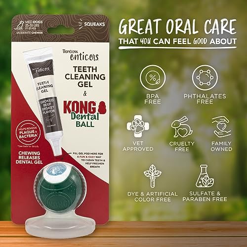 KONG Enticers Dental Ball, Medium