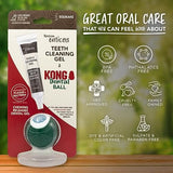 KONG Enticers Dental Ball, Medium