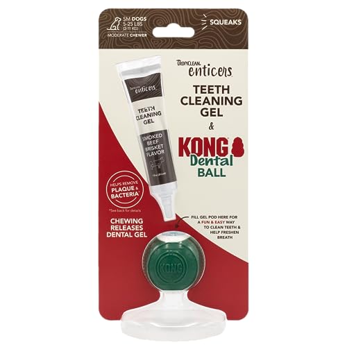 KONG Enticers Smoked Beef Brisket Gel & Dental Ball for Small Dogs