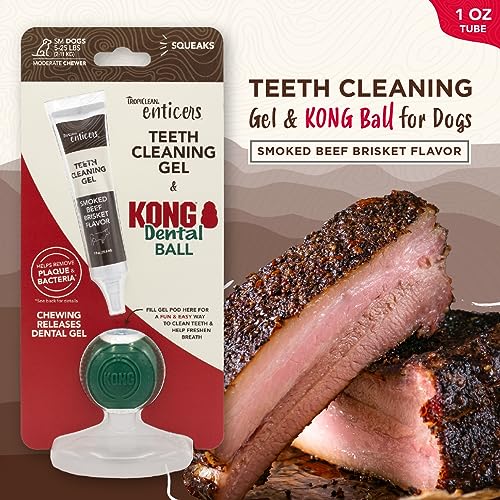 KONG Enticers Smoked Beef Brisket Gel & Dental Ball for Small Dogs