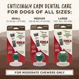 KONG Enticers Smoked Beef Brisket Gel & Dental Ball for Small Dogs