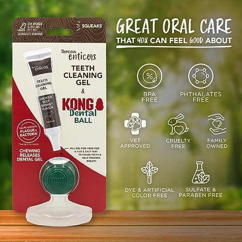 KONG Enticers Smoked Beef Brisket Gel & Dental Ball for Small Dogs