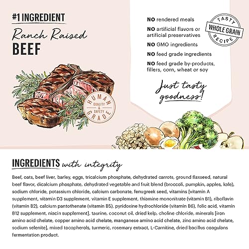 The Honest Kitchen Beef & Oat Dog Food, 5 lbs.