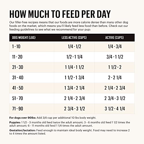 The Honest Kitchen Beef & Oat Dog Food, 5 lbs.