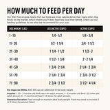 The Honest Kitchen Beef & Oat Dog Food, 5 lbs.