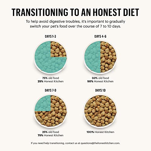 The Honest Kitchen Beef & Oat Dog Food, 5 lbs.