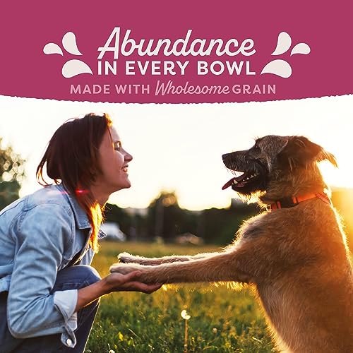 Natural Balance Fat Dogs Low Calorie Dry Dog Food, 4 lbs.