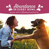 Natural Balance Fat Dogs Low Calorie Dry Dog Food, 4 lbs.