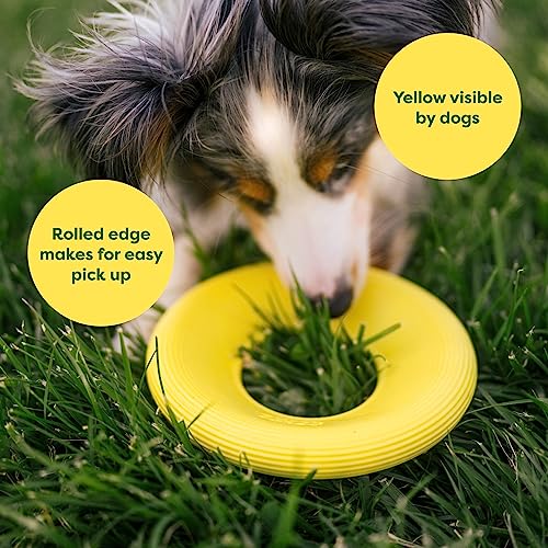 Earth Rated Flying Disc Dog Toy, Small